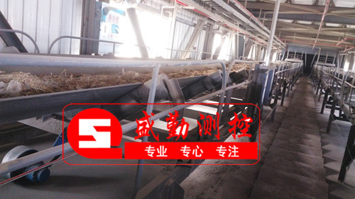 ����Ƥ���ӬF(xi��n)���������|(zh��)��